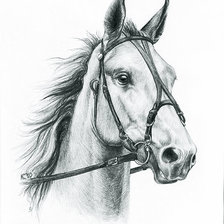 Схема вышивки «Лошадь»