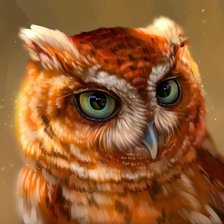 Схема вышивки «Сова»