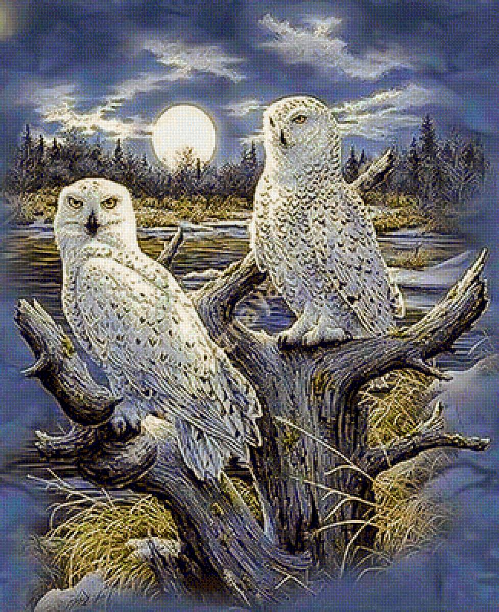 Guardians of the Night. - birds. - предпросмотр