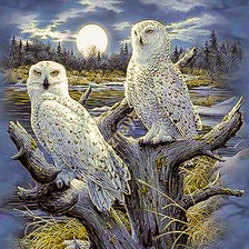 Guardians of the Night.