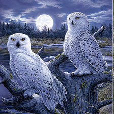 Схема вышивки «Совы»