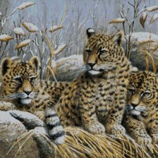 Схема вышивки «№1976849»