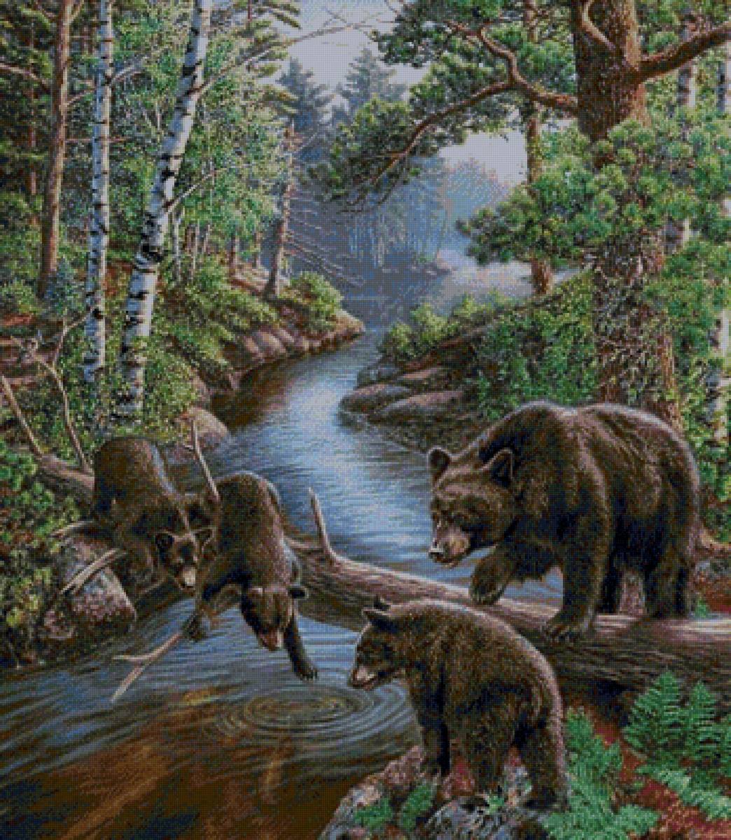 Медведи - предпросмотр