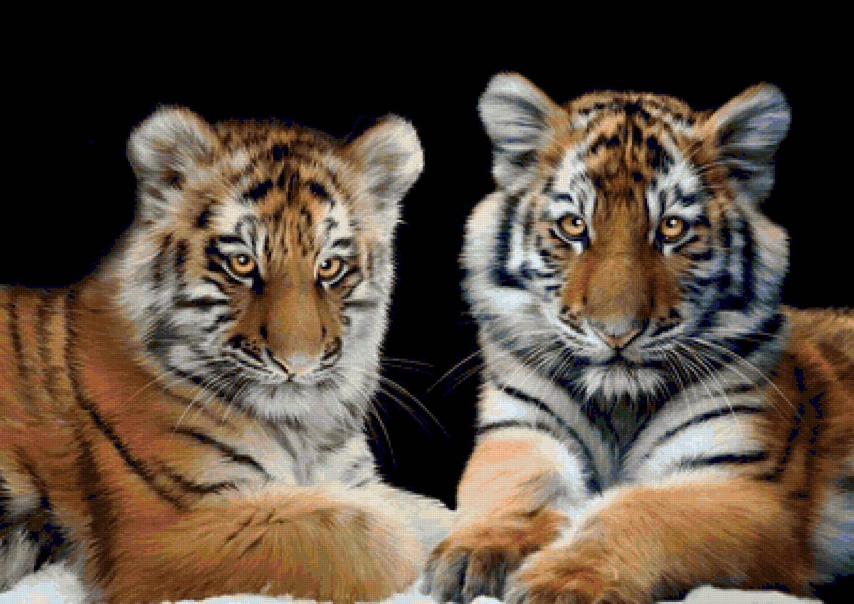 tigriukai - предпросмотр