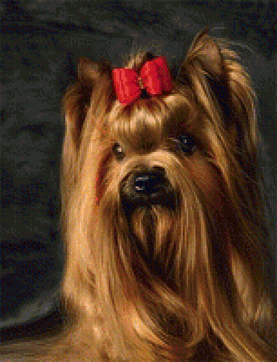 Йоркширский терьер - предпросмотр