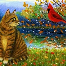 mačka,vtáčik