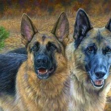 Схема вышивки «aviganiai»