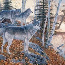 Схема вышивки «волки»