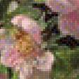 Предпросмотр схемы вышивки «A MEDLEY OF PINK ROSES» (№1977499)
