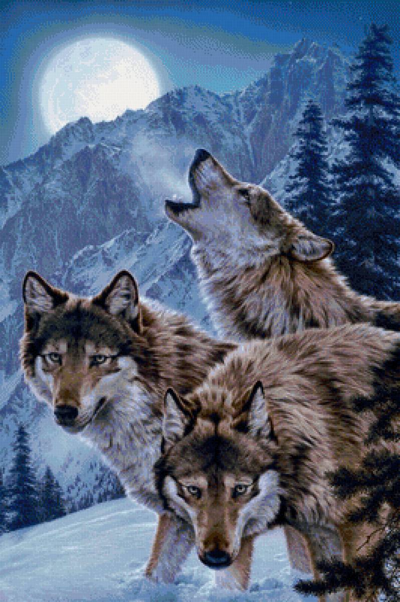 дикие - предпросмотр