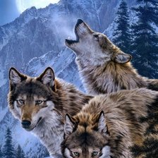 Схема вышивки «дикие»