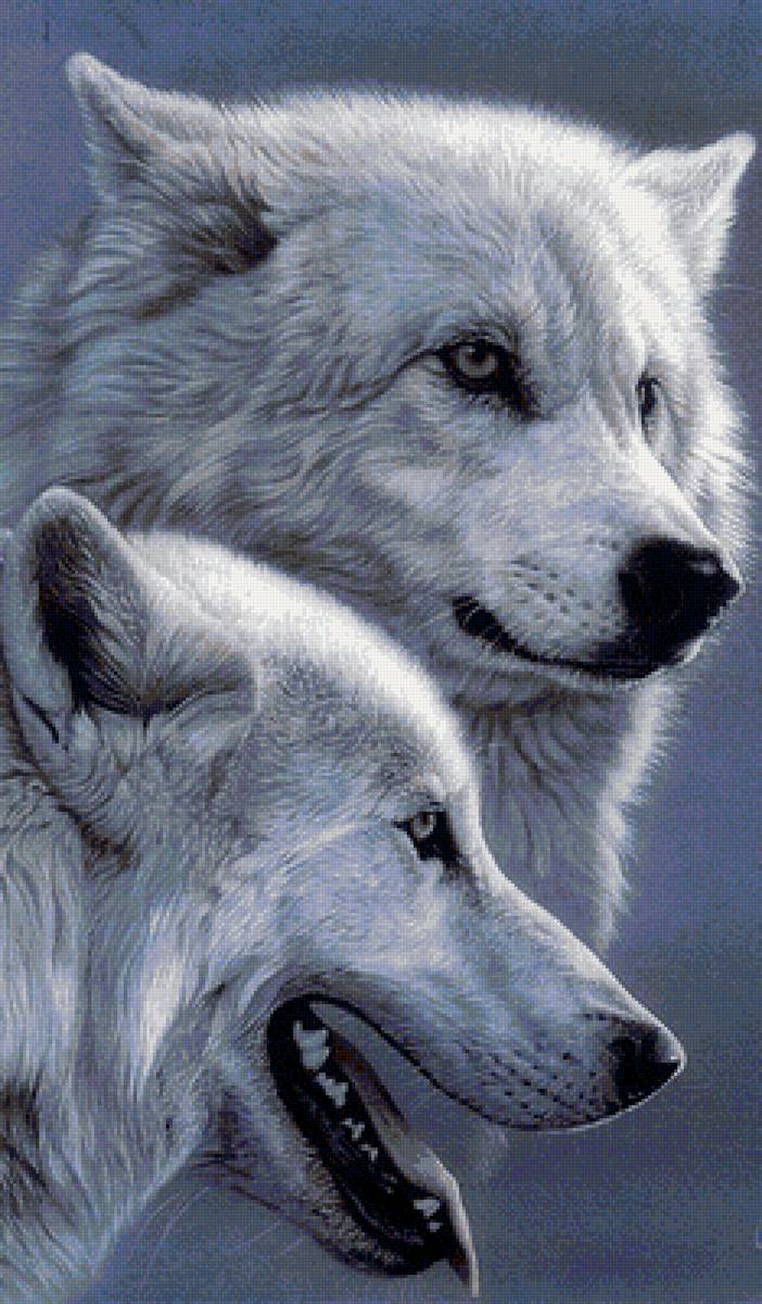 дикие - предпросмотр