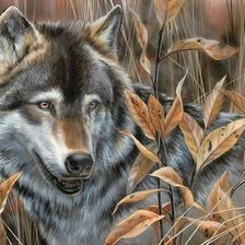 Схема вышивки «дикие»