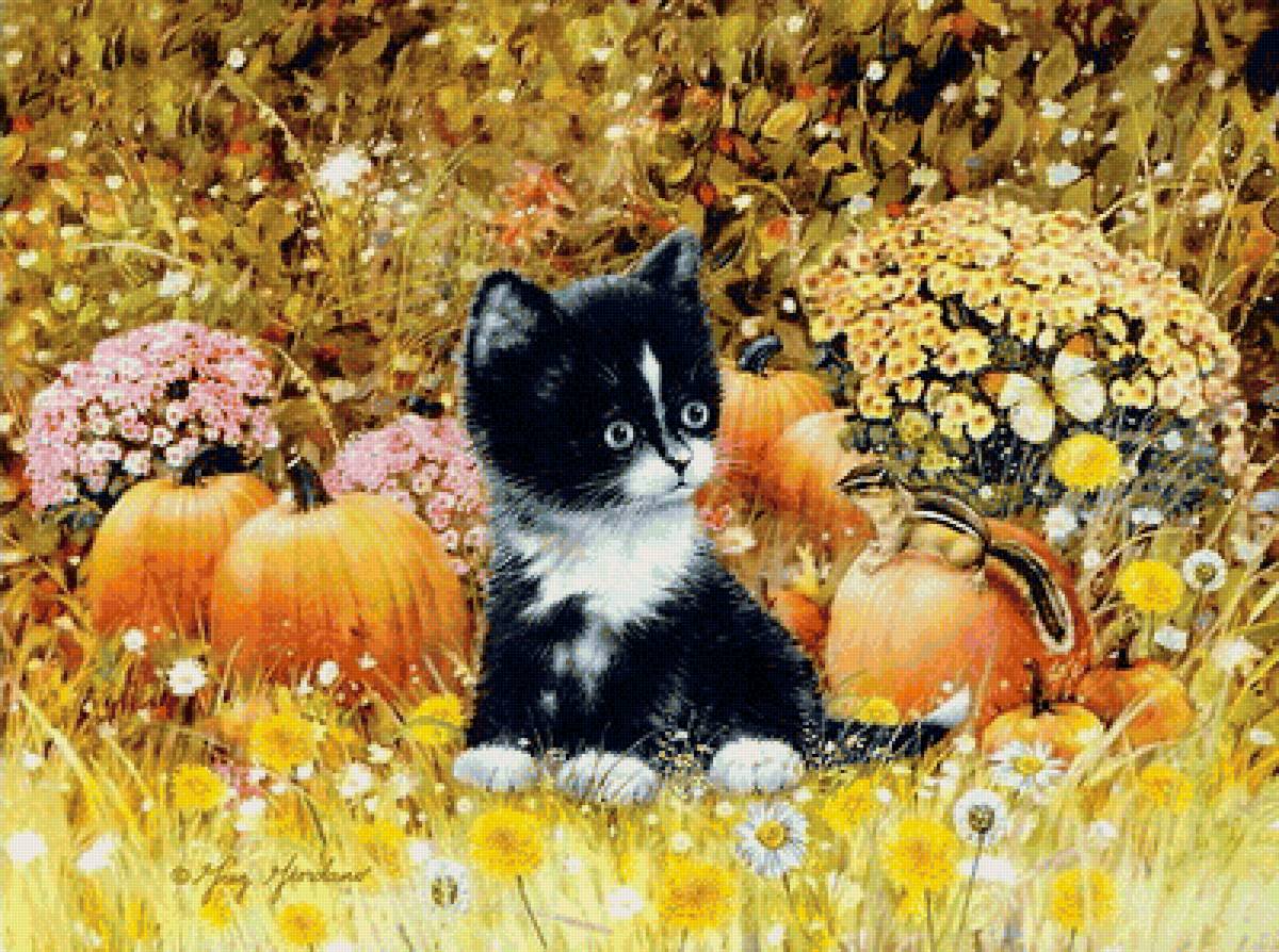 mačiatko,tekvice - предпросмотр