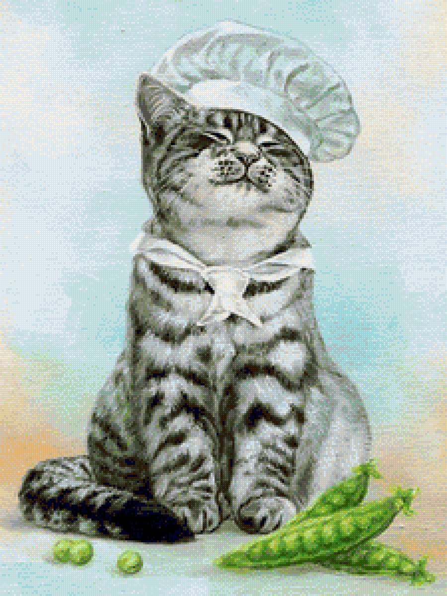 котяра - кот - предпросмотр