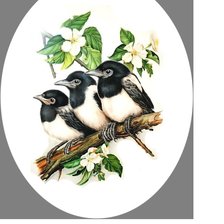 Схема вышивки «Птенцы.»