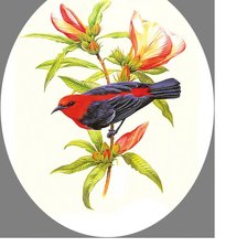 Схема вышивки «Птичка.»