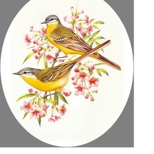 Схема вышивки «Птички.»