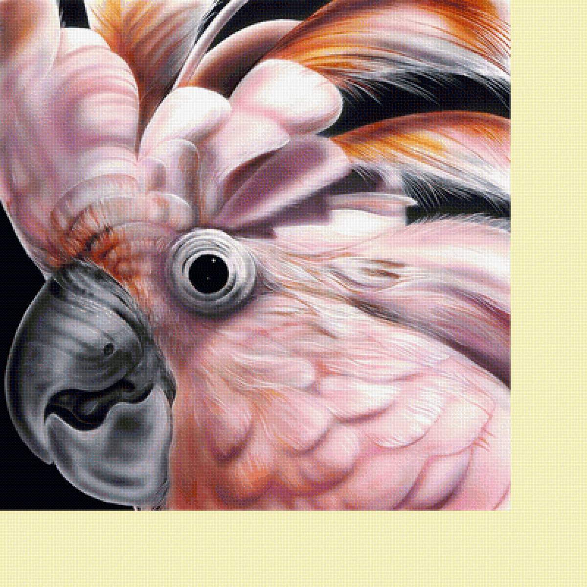 Серия "Птицы". Попугай - птицы, попугаи, фауна - предпросмотр