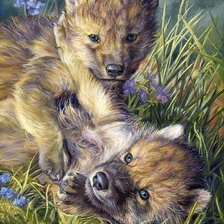 Схема вышивки «дикие»