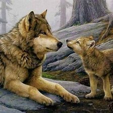 Схема вышивки «дикие»