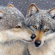 Схема вышивки «дикие»