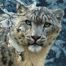 Схема вышивки «SNOW LEOPARD»