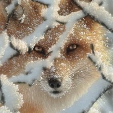 Схема вышивки «HIDE AND SEEK - RED FOX»