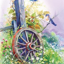 Схема вышивки «príroda,vtáci»