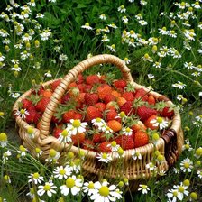 Схема вышивки «Лукошко с клубникой»