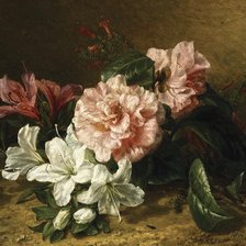 Схема вышивки «№1978517»