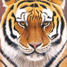 Схема вышивки «№1978549»