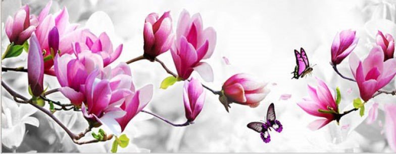 магнолии - оригинал