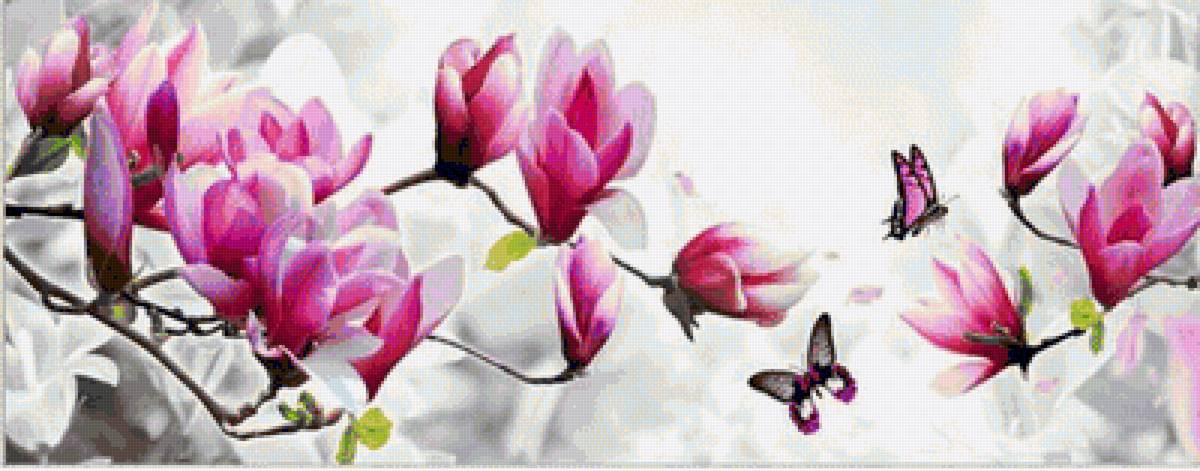 магнолии - предпросмотр