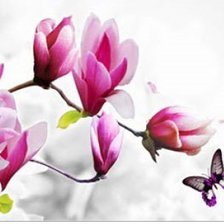 Схема вышивки «магнолии»