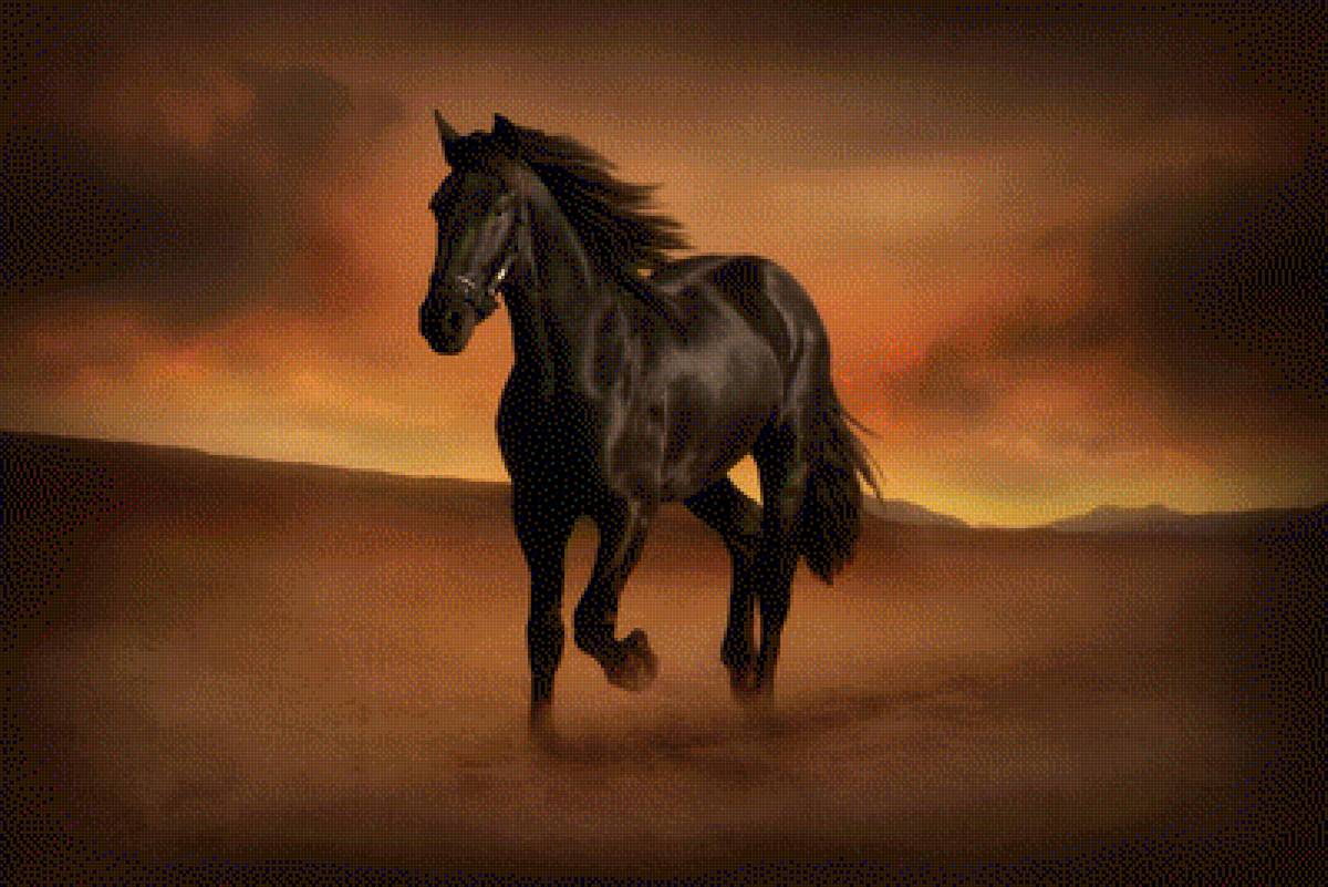 Красивая лошадь - скакун, лошадь, красивая лошадь - предпросмотр