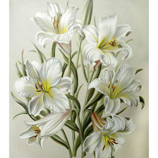 Схема вышивки «Белые лилии.»
