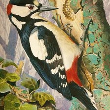 Схема вышивки «Дятел»