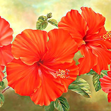 Схема вышивки «цветы»