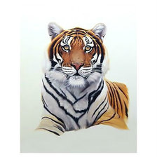 Схема вышивки «Тигр.»