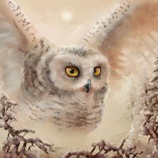 Схема вышивки «СОВА»