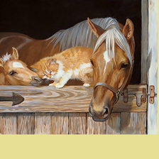 Кони и котик.