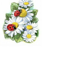 Схема вышивки «Ромашки и божьи коровки.»