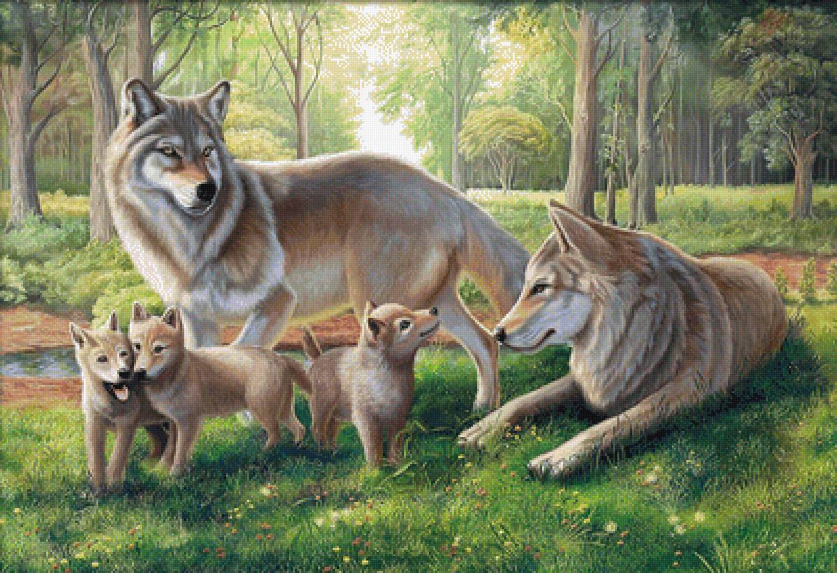 №1980219 - хищники, животные, волки - предпросмотр