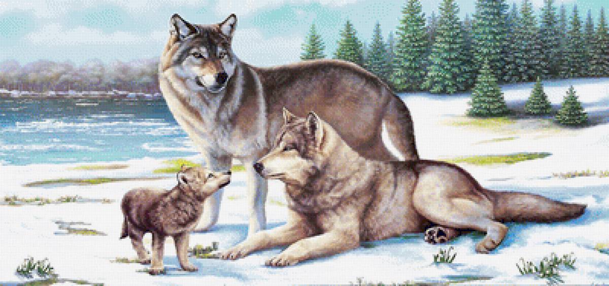 №1980221 - животные, волки, хищники - предпросмотр