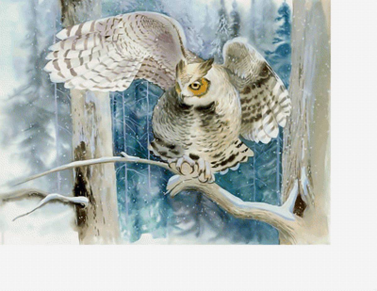 Сова. - снег, зима, сова, хищник, птицы - предпросмотр