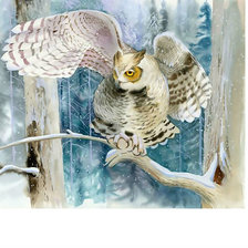 Схема вышивки «Сова.»