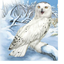 Схема вышивки «Полярная сова.»