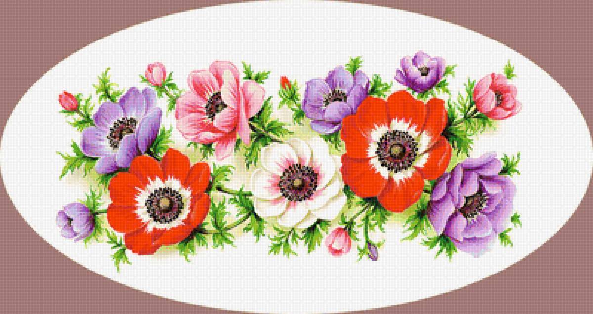 Серия "Анемоны" - флора, анемоны, цветы - предпросмотр