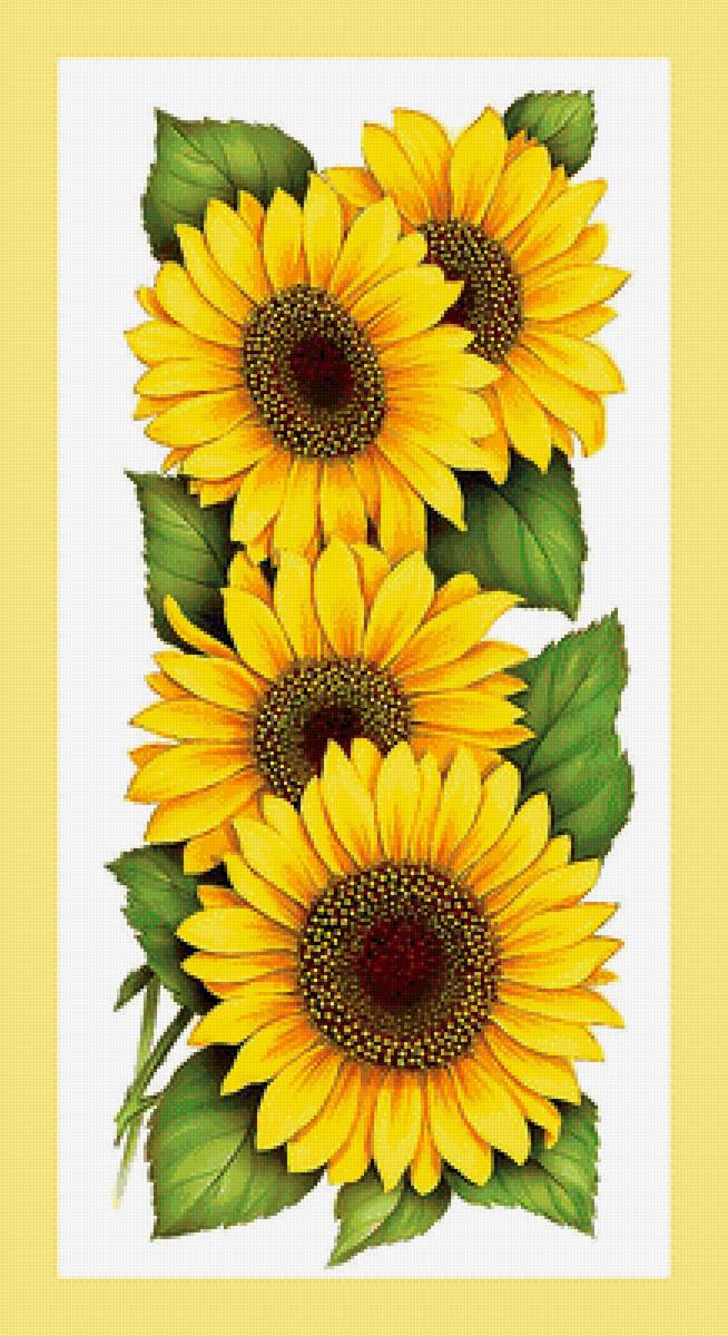 Серия "Подсолнухи". Панелька - подсолнухи, цветы, флора - предпросмотр